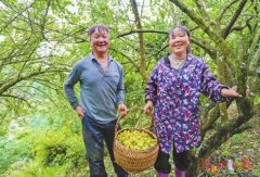 <b>将立异打制“链上融合共兴”党建</b> 