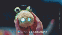 能建立起繁荣、可持续的聪慧生态 